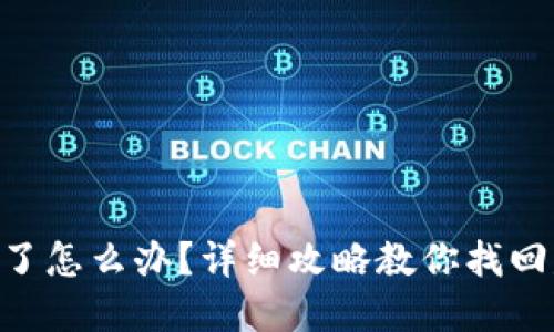IM钱包丢币了怎么办?详细攻略教你找回失误的资产!
