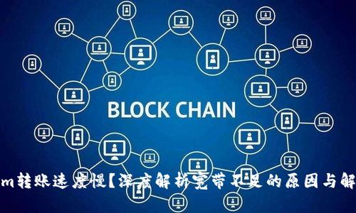Tokenim转账速度慢?深度解析宽带不足的原因与解决方案