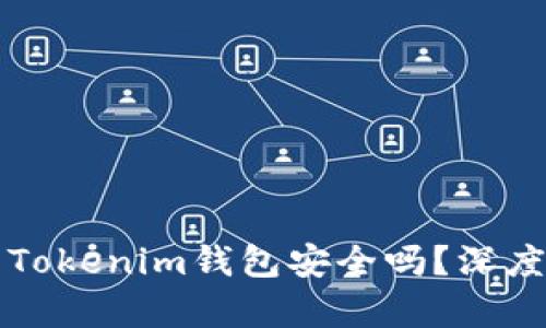 将数字货币提到Tokenim钱包安全吗?深度解析与防范指南