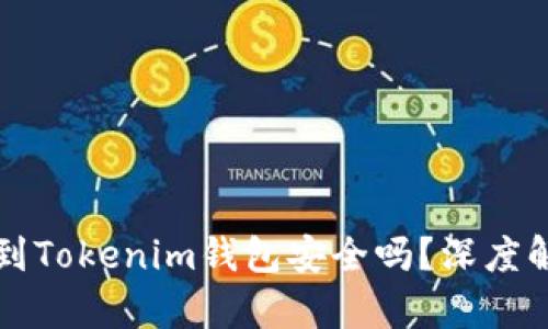 将数字货币提到Tokenim钱包安全吗?深度解析与防范指南