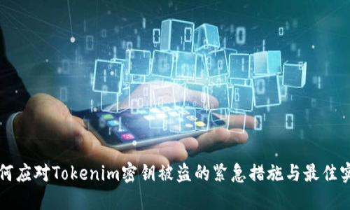 如何应对Tokenim密钥被盗的紧急措施与最佳实践