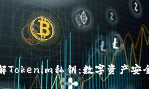 深入了解Tokenim私钥:数字资产安全的关键