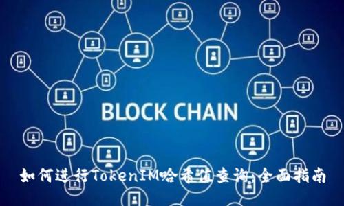 如何进行TokenIM哈希值查询：全面指南