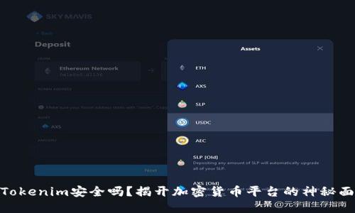 : Tokenim安全吗?揭开加密货币平台的神秘面纱