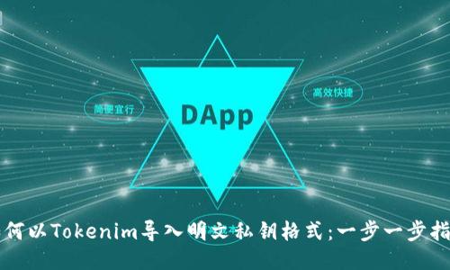 如何以Tokenim导入明文私钥格式:一步一步指南
