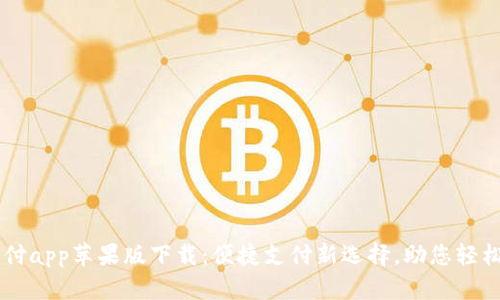 易币付app苹果版下载:便捷支付新选择,助您轻松生活
