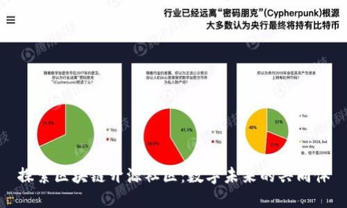 探索区块链开源社区:数字未来的共同体