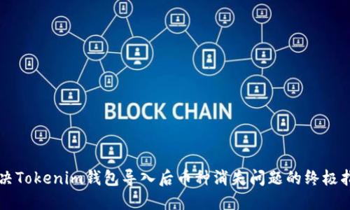 解决Tokenim钱包导入后币种消失问题的终极指南