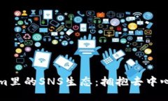 深入探讨Tokenim里的SNS生态