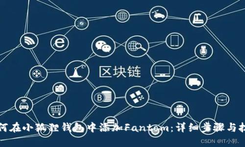 如何在小狐狸钱包中添加Fantom：详细步骤与技巧
