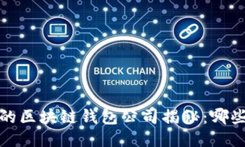 2023年排名第一的区块链钱包公司揭秘：哪些因素成就其辉煌？