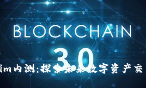 揭秘Tokenim内测：探索未来数字资产交易的新趋势