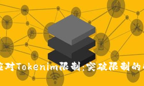 中国用户如何应对Tokenim限制:突破限制的解决方案与技巧