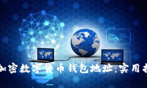 如何高效申请加密数字货币钱包地址:实用指南与步骤解析