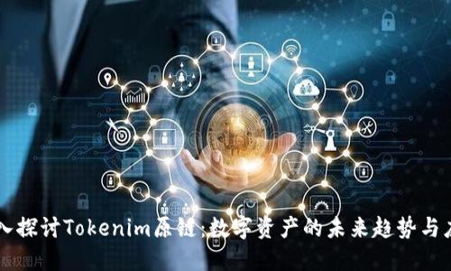 深入探讨Tokenim原链:数字资产的未来趋势与应用