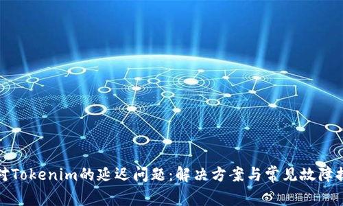 如何应对Tokenim的延迟问题:解决方案与常见故障排除策略