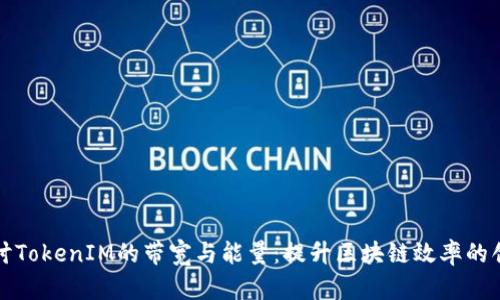 深入探讨TokenIM的带宽与能量:提升区块链效率的创新之路