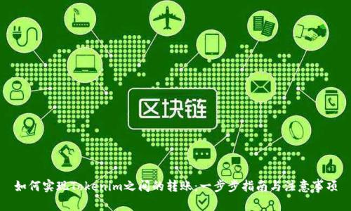 如何实现Tokenim之间的转账:一步步指南与注意事项