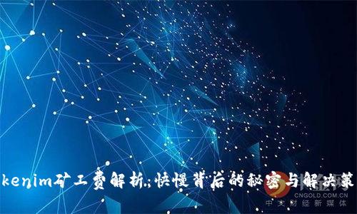 Tokenim矿工费解析:快慢背后的秘密与解决策略