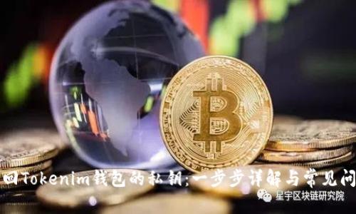 如何找回Tokenim钱包的私钥:一步步详解与常见问题解答