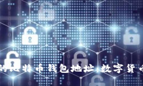 揭秘中本聪的比特币钱包地址：数字货币的神秘背后