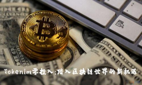 Tokenim零投入:踏入区块链世界的新机遇