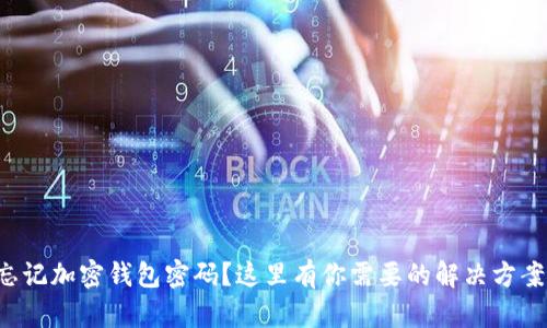 忘记加密钱包密码?这里有你需要的解决方案!
