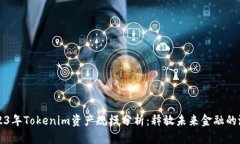 2023年Tokenim资产规模分析：