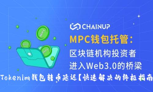 Tokenim钱包转币延迟?快速解决的终极指南