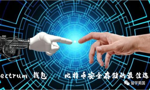 Electrum 钱包——比特币安全存储的最佳选择