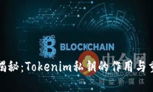 深入揭秘:Tokenim私钥的作用与重要性