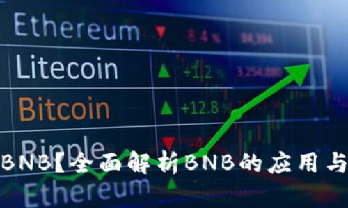 TokenIM是否支持BNB？全面解析BNB的应用与TokenIM的兼容性