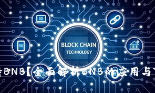 TokenIM是否支持BNB？全面解析BNB的应用与TokenIM的兼容性