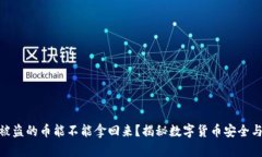 数字钱包被盗的币能不能