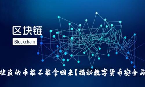 数字钱包被盗的币能不能拿回来?揭秘数字货币安全与保护措施