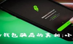 揭开988pay钱包骗局的真相