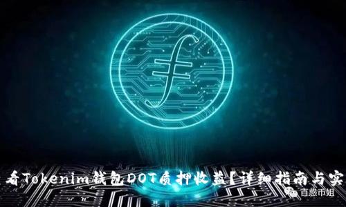 如何查看Tokenim钱包DOT质押收益?详细指南与实用技巧