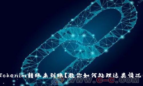 Tokenim转账未到账？教你如何处理这类情况！