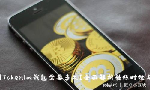 FIL币提到Tokenim钱包需要多久？全面解析转账时效与影响因素