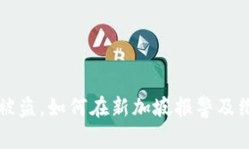 比特派被盗，如何在新加坡报警及维权指南