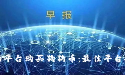 如何选择合适的平台购买狗狗币：最佳平台推荐与注意事项