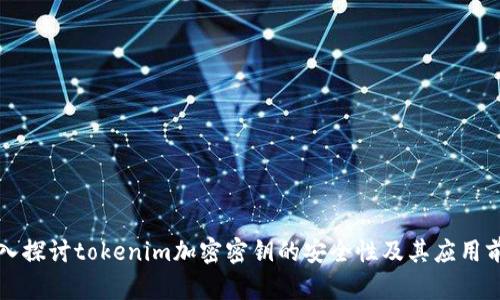 深入探讨tokenim加密密钥的安全性及其应用前景