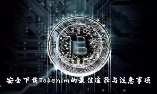 安全下载Tokenim的最佳途径与注意事项