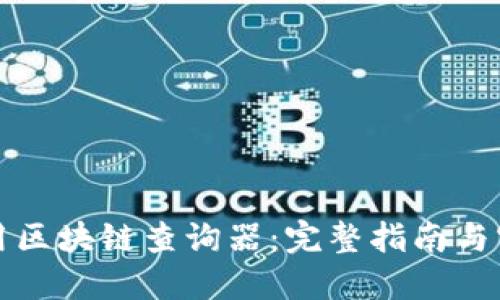 如何使用区块链查询器:完整指南与实用技巧