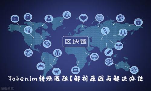 Tokenim转账遇阻?解析原因与解决办法