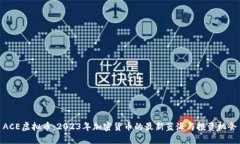 ACE虚拟币：2023年加密货币