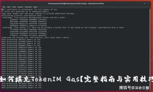 如何填充TokenIM Gas？完整指南与实用技巧