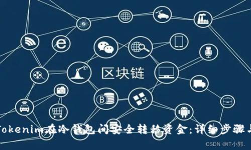 如何通过Tokenim在冷钱包间安全转移资金：详细步骤与注意事项