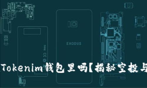 空投币都在Tokenim钱包里吗？揭秘空投与钱包的关系