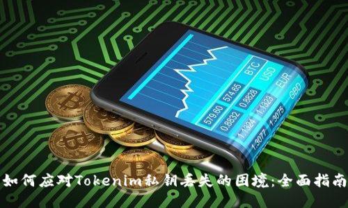 如何应对Tokenim私钥丢失的困境：全面指南